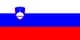 Legal assistance in obtaining Slovenian citizenship